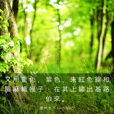 Picture 03 - 歷 代 志 下 3:14 CUVT - 又 用 藍 色 、 紫 色 、 朱 紅 色 線 - Bible Verse Picture
