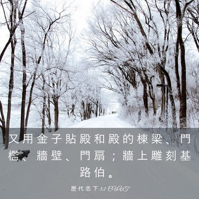 Picture 03 - 歷 代 志 下 3:7 CUVT - 又 用 金 子 貼 殿 和 殿 的 棟 梁 、 - Bible Verse Picture
