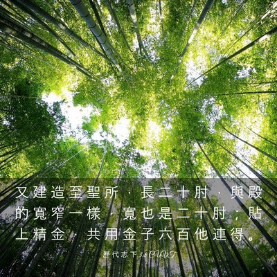 Picture 03 - 歷 代 志 下 3:8 CUVT - 又 建 造 至 聖 所 ， 長 二 十 肘 ， - Bible Verse Picture