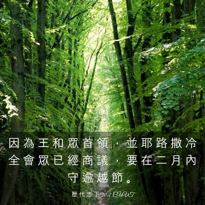 Picture 03 - 歷 代 志 下 30:2 CUVT - 因 為 王 和 眾 首 領 ， 並 耶 路 撒 - Bible Verse Picture