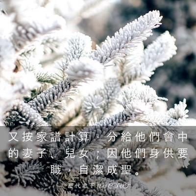 Picture 03 - 歷 代 志 下 31:18 CUVT - 又 按 家 譜 計 算 ， 分 給 他 們 會 - Bible Verse Picture