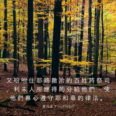 Picture 03 - 歷 代 志 下 31:4 CUVT - 又 吩 咐 住 耶 路 撒 冷 的 百 姓 將 - Bible Verse Picture