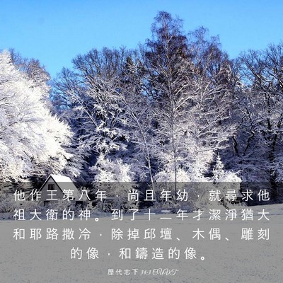 Picture 03 - 歷 代 志 下 34:3 CUVT - 他 作 王 第 八 年 ， 尚 且 年 幼 ， - Bible Verse Picture