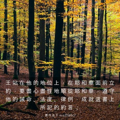 Picture 03 - 歷 代 志 下 34:31 CUVT - 王 站 在 他 的 地 位 上 ， 在 耶 和 - Bible Verse Picture