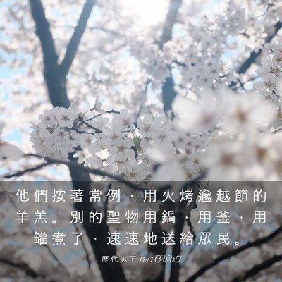 Picture 03 - 歷 代 志 下 35:13 CUVT - 他 們 按 著 常 例 ， 用 火 烤 逾 越 - Bible Verse Picture