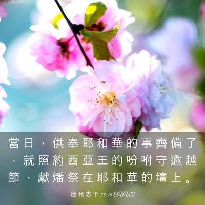 Picture 03 - 歷 代 志 下 35:16 CUVT - 當 日 ， 供 奉 耶 和 華 的 事 齊 備 - Bible Verse Picture