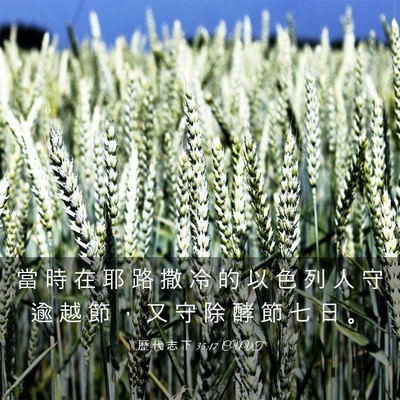 Picture 03 - 歷 代 志 下 35:17 CUVT - 當 時 在 耶 路 撒 冷 的 以 色 列 人 - Bible Verse Picture