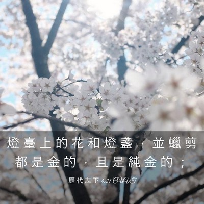 Picture 03 - 歷 代 志 下 4:21 CUVT - 燈 臺 上 的 花 和 燈 盞 ， 並 蠟 剪 - Bible Verse Picture