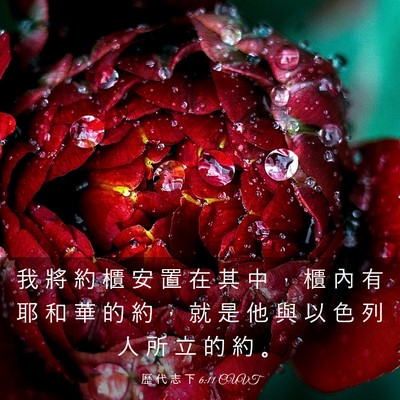 Picture 03 - 歷 代 志 下 6:11 CUVT - 我 將 約 櫃 安 置 在 其 中 ， 櫃 內 - Bible Verse Picture
