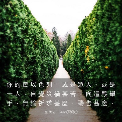 Picture 03 - 歷 代 志 下 6:29 CUVT - 你 的 民 以 色 列 ， 或 是 眾 人 ， - Bible Verse Picture