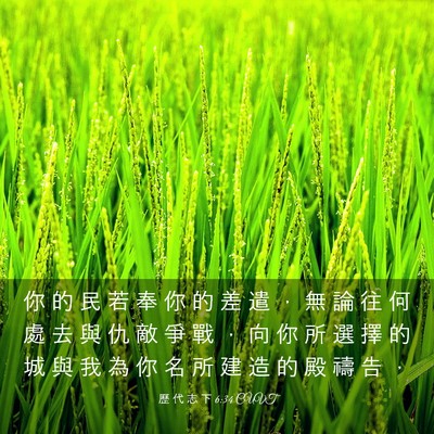 Picture 03 - 歷 代 志 下 6:34 CUVT - 你 的 民 若 奉 你 的 差 遣 ， 無 論 - Bible Verse Picture