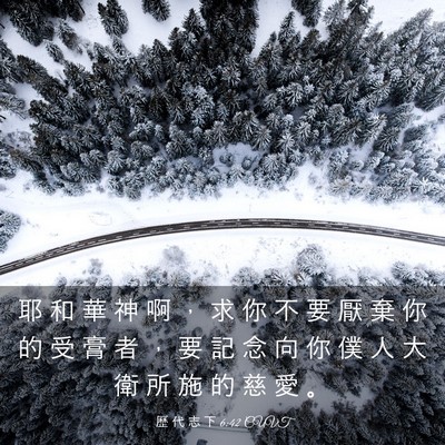 Picture 03 - 歷 代 志 下 6:42 CUVT - 耶 和 華 神 啊 ， 求 你 不 要 厭 棄 - Bible Verse Picture
