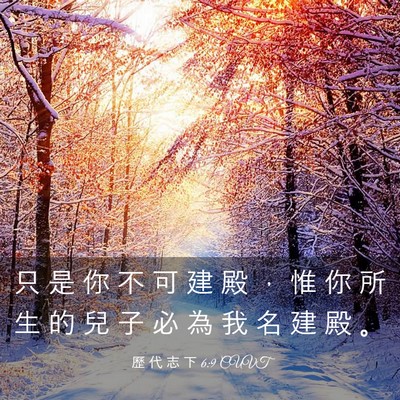 Picture 03 - 歷 代 志 下 6:9 CUVT - 只 是 你 不 可 建 殿 ， 惟 你 所 生 - Bible Verse Picture
