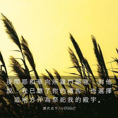 Picture 03 - 歷 代 志 下 7:12 CUVT - 夜 間 耶 和 華 向 所 羅 門 顯 現 ， - Bible Verse Picture