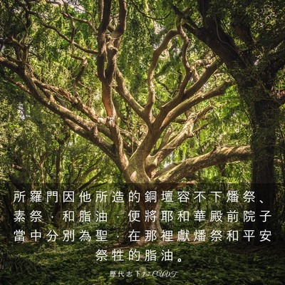 Picture 03 - 歷 代 志 下 7:7 CUVT - 所 羅 門 因 他 所 造 的 銅 壇 容 不 - Bible Verse Picture