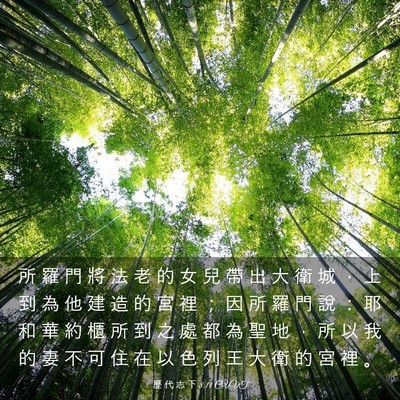 Picture 03 - 歷 代 志 下 8:11 CUVT - 所 羅 門 將 法 老 的 女 兒 帶 出 大 - Bible Verse Picture