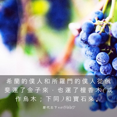 Picture 03 - 歷 代 志 下 9:10 CUVT - 希 蘭 的 僕 人 和 所 羅 門 的 僕 人 - Bible Verse Picture