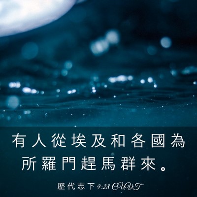 Picture 03 - 歷 代 志 下 9:28 CUVT - 有 人 從 埃 及 和 各 國 為 所 羅 門 - Bible Verse Picture