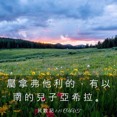 Picture 03 - 民 數 記 1:15 CUVT - 屬 拿 弗 他 利 的 ， 有 以 南 的 兒 - Bible Verse Picture