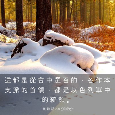 Picture 03 - 民 數 記 1:16 CUVT - 這 都 是 從 會 中 選 召 的 ， 各 作 - Bible Verse Picture