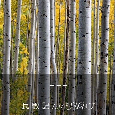 Picture 03 - 民 數 記 1:31 CUVT -  - Bible Verse Picture
