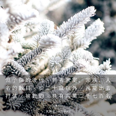 Picture 03 - 民 數 記 1:38 CUVT - 但 子 孫 的 後 代 ， 照 著 家 室 、 - Bible Verse Picture