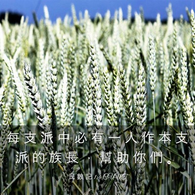 Picture 03 - 民 數 記 1:4 CUVT - 每 支 派 中 必 有 一 人 作 本 支 派 - Bible Verse Picture