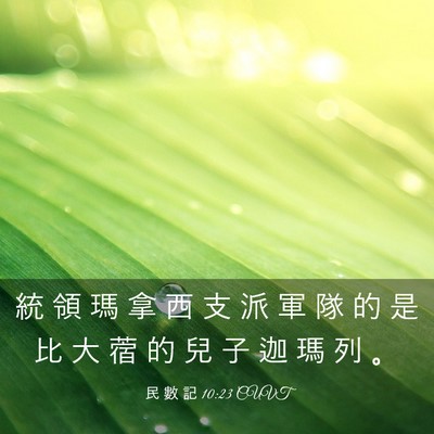 Picture 03 - 民 數 記 10:23 CUVT - 統 領 瑪 拿 西 支 派 軍 隊 的 是 比 - Bible Verse Picture