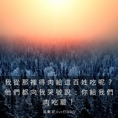 Picture 03 - 民 數 記 11:13 CUVT - 我 從 那 裡 得 肉 給 這 百 姓 吃 呢 - Bible Verse Picture