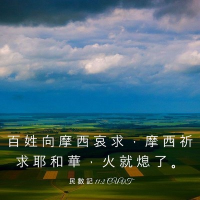 Picture 03 - 民 數 記 11:2 CUVT - 百 姓 向 摩 西 哀 求 ， 摩 西 祈 求 - Bible Verse Picture
