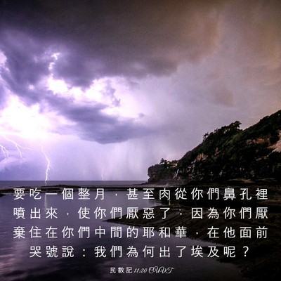 Picture 03 - 民 數 記 11:20 CUVT - 要 吃 一 個 整 月 ， 甚 至 肉 從 你 - Bible Verse Picture