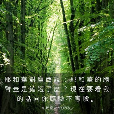 Picture 03 - 民 數 記 11:23 CUVT - 耶 和 華 對 摩 西 說 ： 耶 和 華 的 - Bible Verse Picture