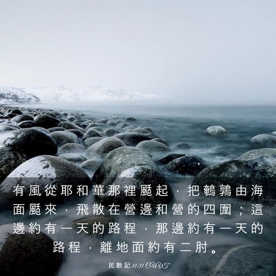 Picture 03 - 民 數 記 11:31 CUVT - 有 風 從 耶 和 華 那 裡 颳 起 ， 把 - Bible Verse Picture