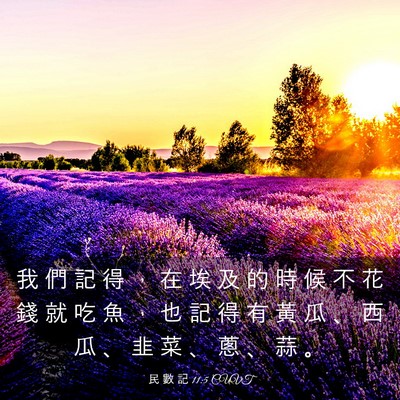 Picture 03 - 民 數 記 11:5 CUVT - 我 們 記 得 ， 在 埃 及 的 時 候 不 - Bible Verse Picture