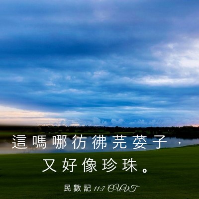 Picture 03 - 民 數 記 11:7 CUVT - 這 嗎 哪 彷 彿 芫 荽 子 ， 又 好 像 - Bible Verse Picture