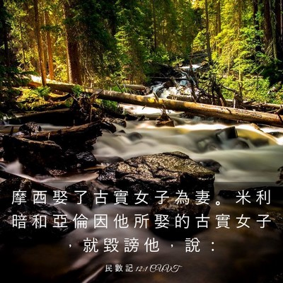 Picture 03 - 民 數 記 12:1 CUVT - 摩 西 娶 了 古 實 女 子 為 妻 。 米 - Bible Verse Picture
