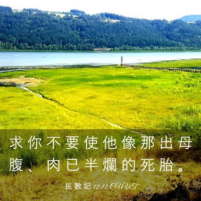 Picture 03 - 民 數 記 12:12 CUVT - 求 你 不 要 使 他 像 那 出 母 腹 、 - Bible Verse Picture