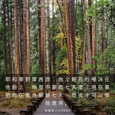 Picture 03 - 民 數 記 12:14 CUVT - 耶 和 華 對 摩 西 說 ： 他 父 親 若 - Bible Verse Picture