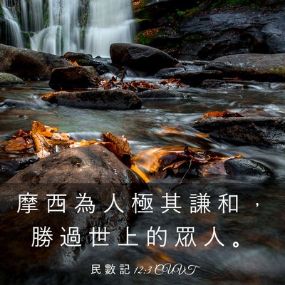Picture 03 - 民 數 記 12:3 CUVT - 摩 西 為 人 極 其 謙 和 ， 勝 過 世 - Bible Verse Picture