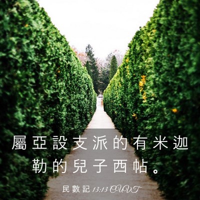 Picture 03 - 民 數 記 13:13 CUVT - 屬 亞 設 支 派 的 有 米 迦 勒 的 兒 - Bible Verse Picture