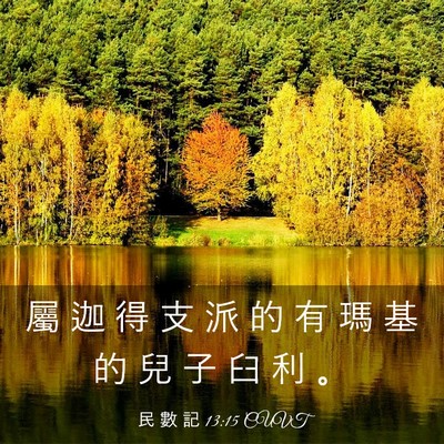 Picture 03 - 民 數 記 13:15 CUVT - 屬 迦 得 支 派 的 有 瑪 基 的 兒 子 - Bible Verse Picture