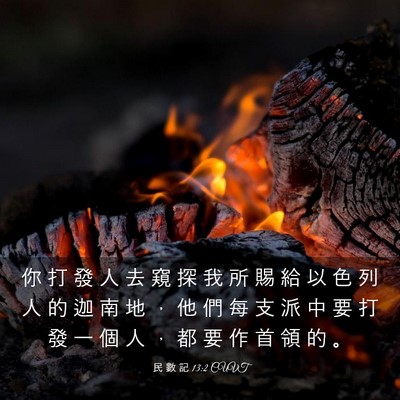 Picture 03 - 民 數 記 13:2 CUVT - 你 打 發 人 去 窺 探 我 所 賜 給 以 - Bible Verse Picture