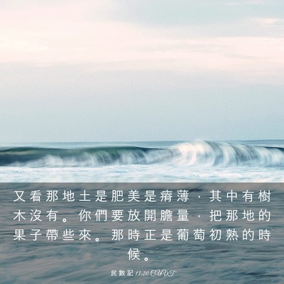 Picture 03 - 民 數 記 13:20 CUVT - 又 看 那 地 土 是 肥 美 是 瘠 薄 ， - Bible Verse Picture