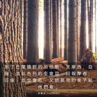 Picture 03 - 民 數 記 13:26 CUVT - 到 了 巴 蘭 曠 野 的 加 低 斯 ， 見 - Bible Verse Picture