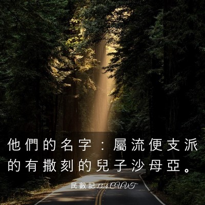Picture 03 - 民 數 記 13:4 CUVT - 他 們 的 名 字 ： 屬 流 便 支 派 的 - Bible Verse Picture
