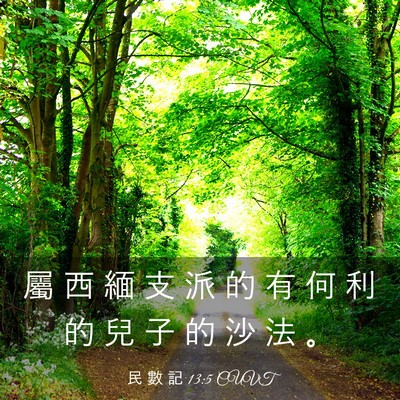 Picture 03 - 民 數 記 13:5 CUVT - 屬 西 緬 支 派 的 有 何 利 的 兒 子 - Bible Verse Picture