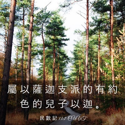 Picture 03 - 民 數 記 13:7 CUVT - 屬 以 薩 迦 支 派 的 有 約 色 的 兒 - Bible Verse Picture