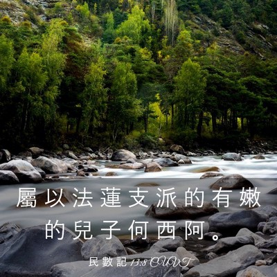 Picture 03 - 民 數 記 13:8 CUVT - 屬 以 法 蓮 支 派 的 有 嫩 的 兒 子 - Bible Verse Picture