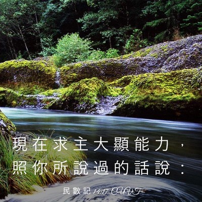 Picture 03 - 民 數 記 14:17 CUVT - 現 在 求 主 大 顯 能 力 ， 照 你 所 - Bible Verse Picture
