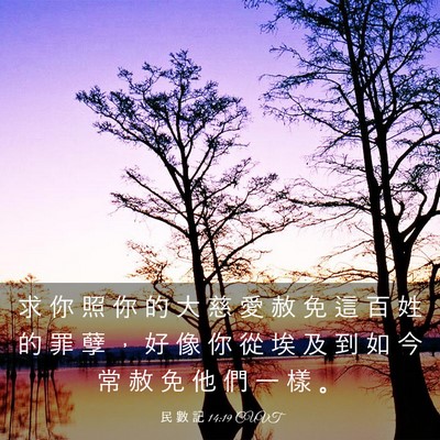 Picture 03 - 民 數 記 14:19 CUVT - 求 你 照 你 的 大 慈 愛 赦 免 這 百 - Bible Verse Picture
